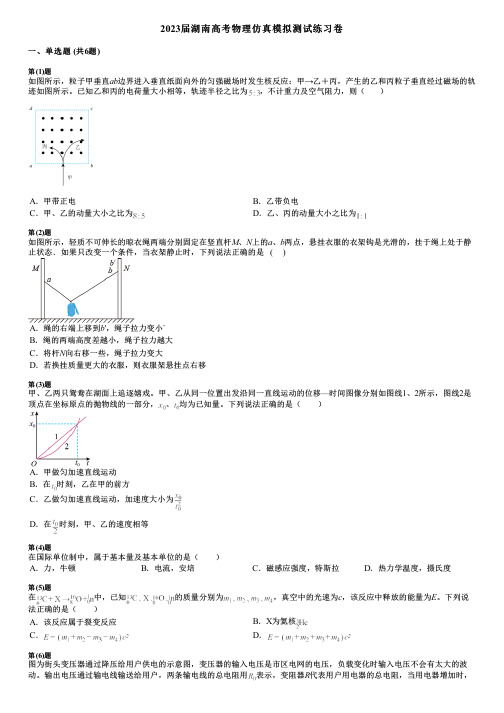 2023届湖南高考物理仿真模拟测试练习卷