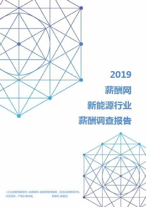 2019年新能源行业薪酬调查报告