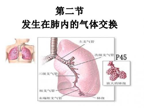 第三章第二节发生在肺内的气体交换介绍