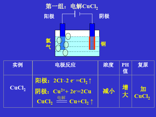 惰性电极阳极