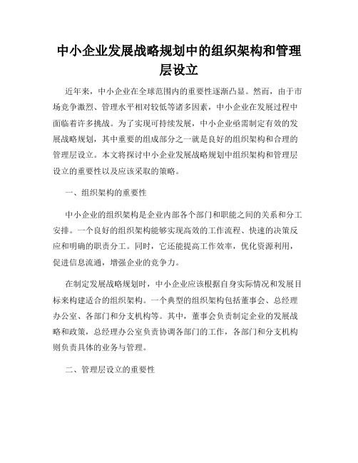 中小企业发展战略规划中的组织架构和管理层设立