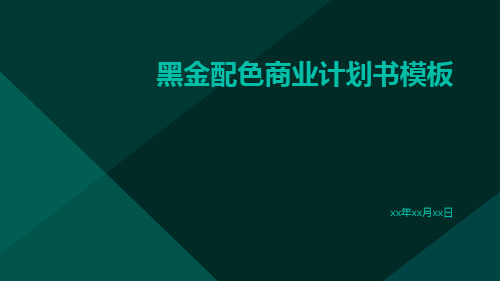 黑金配色的商业计划书模板黑金商业计划书