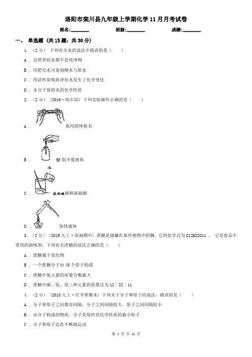 洛阳市栾川县九年级上学期化学11月月考试卷