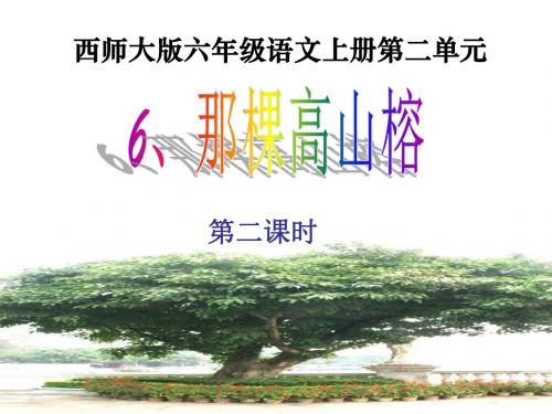 西师大版小学六年级语文上册·6.《那棵高山榕》第二课时 PPT