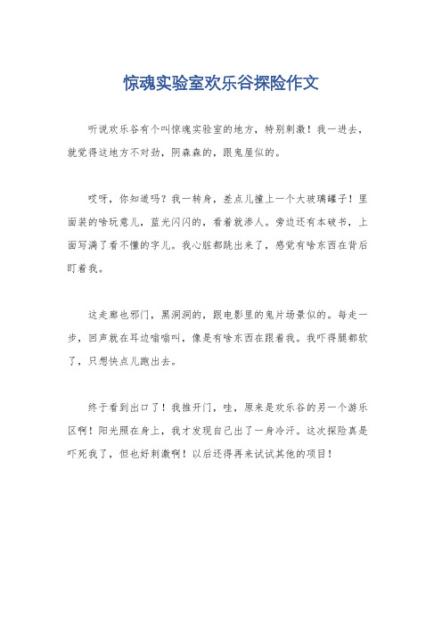 惊魂实验室欢乐谷探险作文