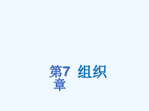 组织与组织设计培训课程