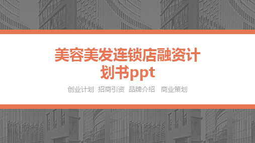 美容美发连锁店融资计划书ppt