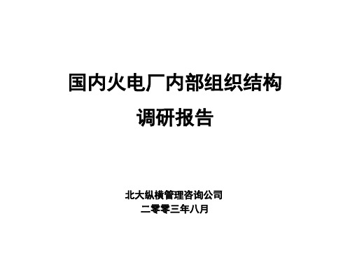 国内火力发电厂组织体制调研报告-文档资料