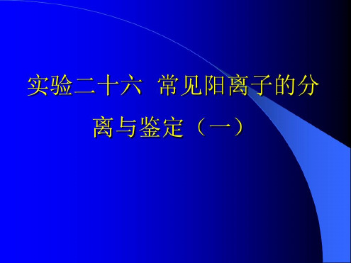 实验二十六常见阳离子的分离和鉴定-2022年学习资料