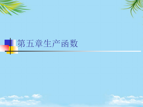 生产函数最全PPT