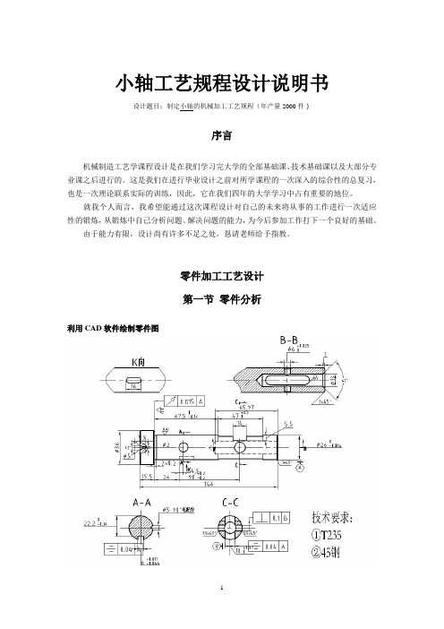 机械工艺夹具毕业设计134机械制造工艺小轴课程设计说明书