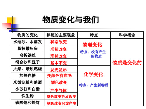 教科版小学科学六年级下册第二单元《物质变化与我们》课件