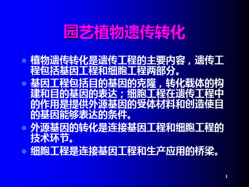 8 园艺植物遗传转化PPT课件