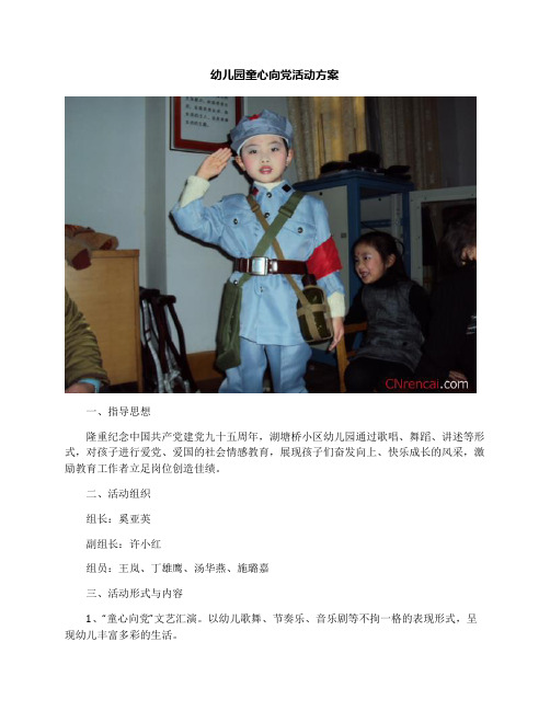 幼儿园童心向党活动方案