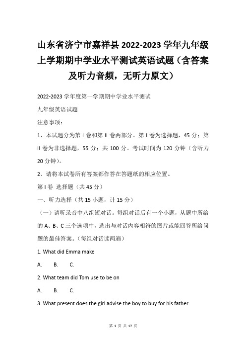 山东省济宁市嘉祥县2022-2023学年九年级上学期期中学业水平测试英语试题(含答案及听力音频,无听