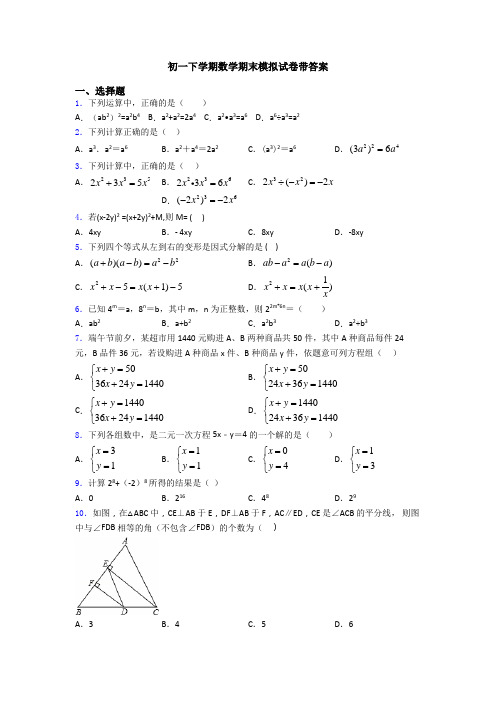 初一下学期数学期末模拟试卷带答案