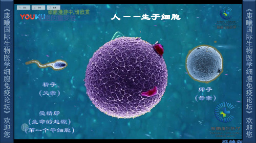 细胞疗法标准版PPT课件