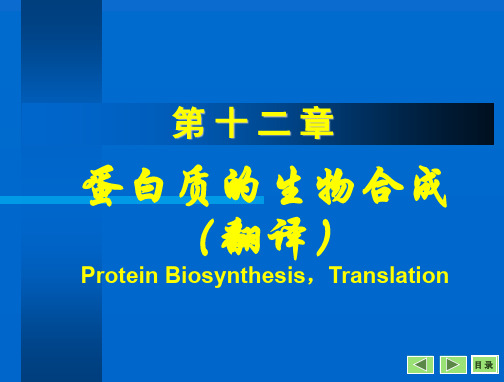 沈阳药科大学生物化学课件——第12章-翻译