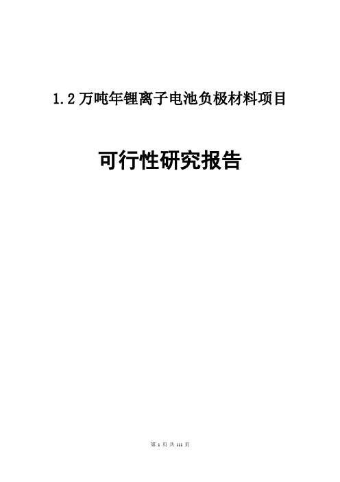 1.2万吨年锂离子电池负极材料项目可行性研究报告