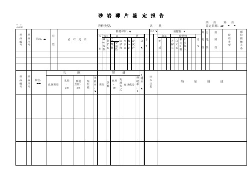 沉积岩鉴定表格