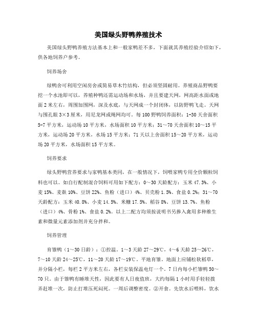 美国绿头野鸭养殖技术