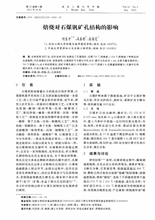 焙烧对石煤钒矿孔结构的影响