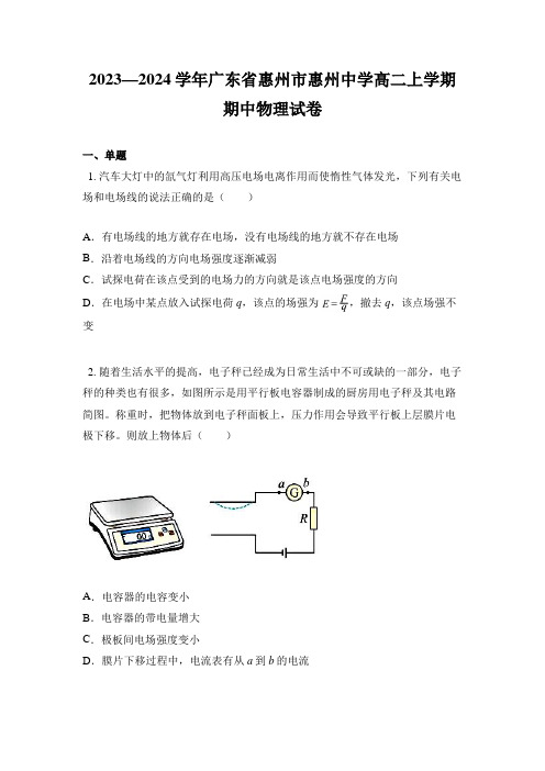 2023—2024学年广东省惠州市惠州中学高二上学期期中物理试卷