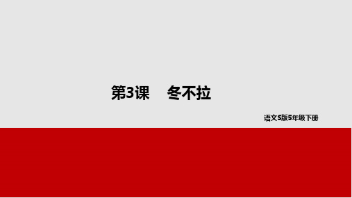 五年级下册语文课件-3冬不拉 语文S版(共37张PPT)