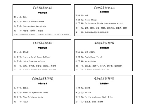 中药材标签(饮片)排版