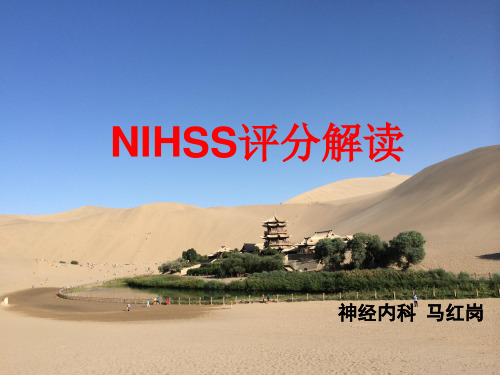 (完整版)NIHSS评分解读