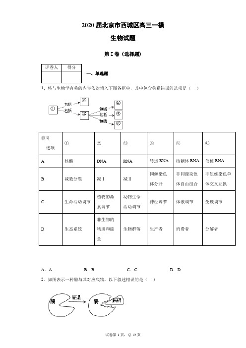 2020届北京市西城区高三一模生物试题(带答案解析)