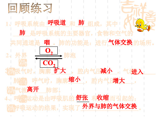 初二八年级科学下册 3.5-生物的呼吸和呼吸作用(二)