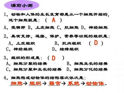 七年级生物植物体的结构层次