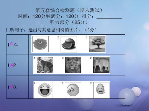 九年级英语全册 期末测试课件 (新版)人教新目标版(1)