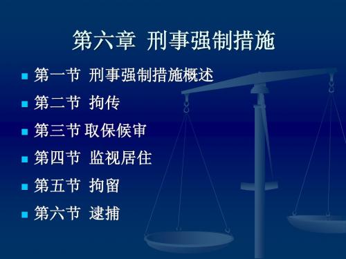 刑事诉讼法  全部讲义 6