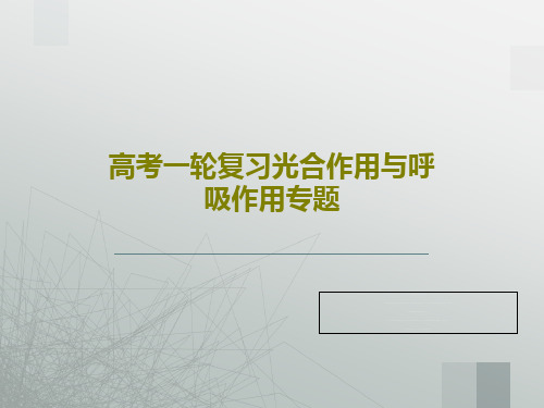 高考一轮复习光合作用与呼吸作用专题共26页