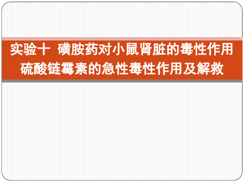 《兽医药理学综合实验》教学课件：实验十 磺胺药对小鼠肾脏的毒性作用