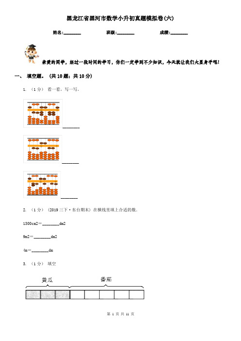 黑龙江省黑河市数学小升初真题模拟卷(六)