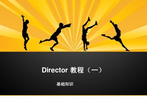 director11.5——1基础知识部分