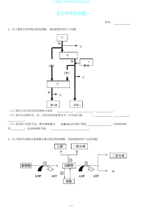 (完整版)光合呼吸综合题及答案