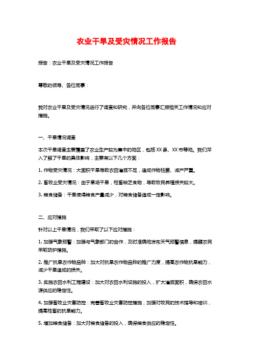 农业干旱及受灾情况工作报告