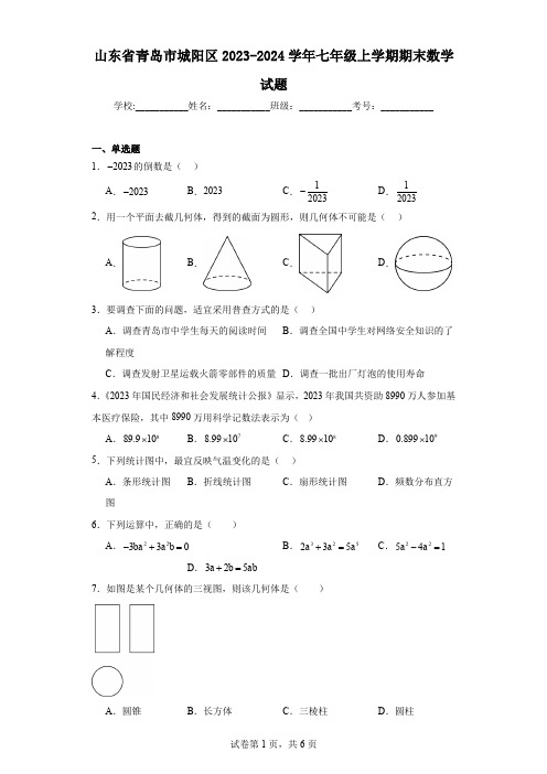 山东省青岛市城阳区2023-2024学年七年级上学期期末数学试题