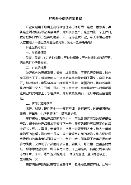 经典开业促销方案5篇