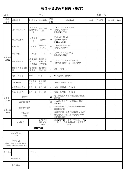 项目申报专员绩效考核表