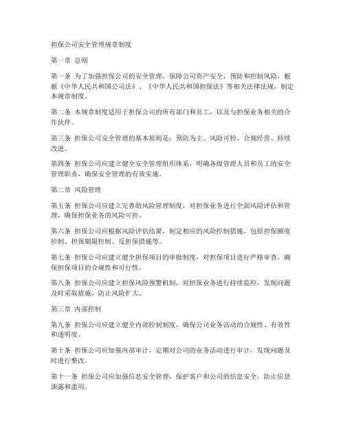 担保公司安全管理规章制度