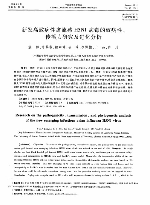 新发高致病性禽流感H5N1病毒的致病性、传播力研究及进化分析