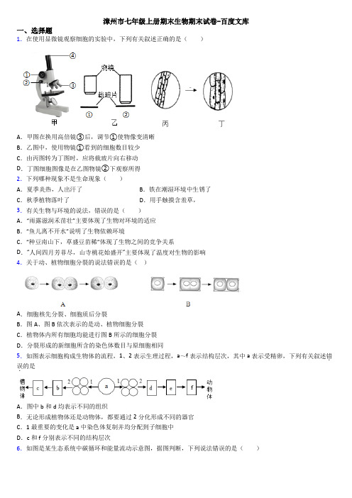 漳州市七年级上册期末生物期末试卷-百度文库