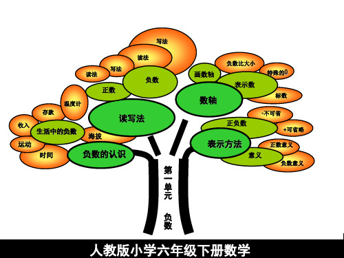 6六年级数学下册知识树