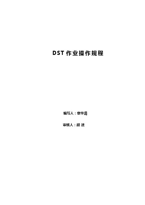 DST作业操作程序27