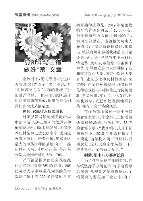 射阳洋马三措 做好“菊”文章